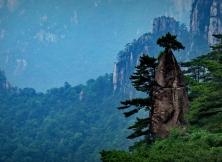 【11月游黃山】醉美婺源+世界雙遺產黃山+桃花源里人家西遞+屯溪老街、黃山印象純玩雙飛四日游 【11月游黃山】醉美婺源+世界雙遺產黃山+桃花源里人家西遞+屯溪老街、黃山印象純玩雙飛四日游