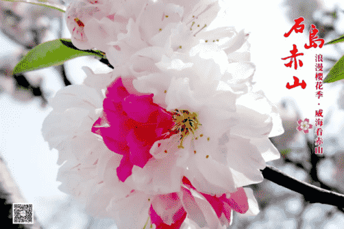 微信截圖_20190410130019