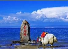 嘉華旅游三八節特惠,當天報名直降380元!青海西藏最惠玩?山東成團雙臥12日 嘉華旅游三八節特惠,當天報名直降380元!青海西藏最惠玩?山東成團雙臥12日