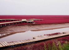 遼寧盤錦紅海廊道、鞍山千山、丹東鴨綠江口,中朝邊境純玩雙船五日游 遼寧盤錦紅海廊道、鞍山千山、丹東鴨綠江口,中朝邊境純玩雙船五日游