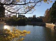 【十一月】云南昆明大理麗江雙飛六日游 【十一月】云南昆明大理麗江雙飛六日游