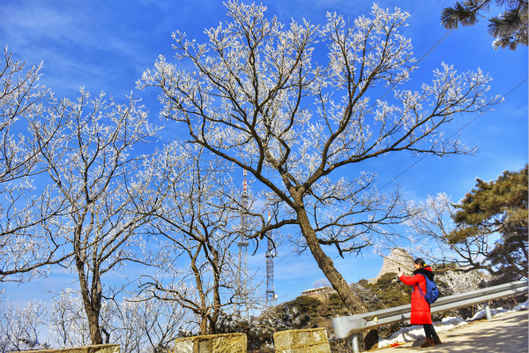 ⑦龜蒙景區(qū)現(xiàn)霧凇景觀