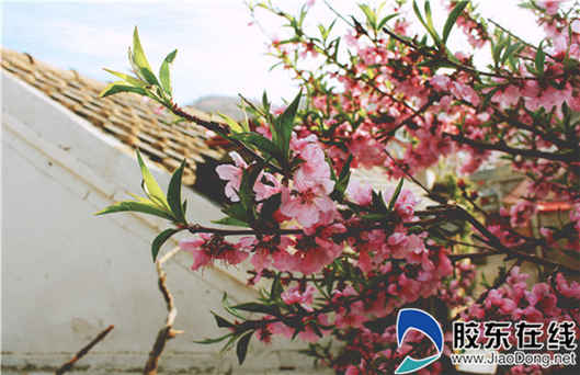 201905051726441144_副本