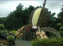 嘉華旅游---奢華泰國5晚7天YY 嘉華旅游---奢華泰國5晚7天YY