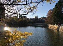 【暑期】昆明?大理?麗江雙飛一動6日舒心游