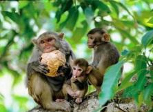 嘉華旅游開業大促--海南品味海島六日游 嘉華旅游開業大促--海南品味海島六日游