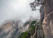 【8月游黃山】醉美婺源+險秀黃山+桃花源里西遞+第一秀水千島湖、湖光山色純玩雙飛五日游. 【8月游黃山】醉美婺源+險秀黃山+桃花源里西遞+第一秀水千島湖、湖光山色純玩雙飛五日游.