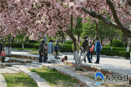 微信圖片_20200502082342