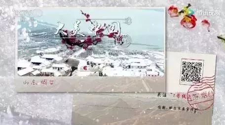 【仙境海岸】央視邀請全國觀眾一起聆聽煙臺雪的低語！