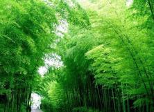 【2021端午假期】無極鬼谷、日照竹洞天、月湖山水、東夷小鎮休閑二日游 【2021端午假期】無極鬼谷、日照竹洞天、月湖山水、東夷小鎮休閑二日游