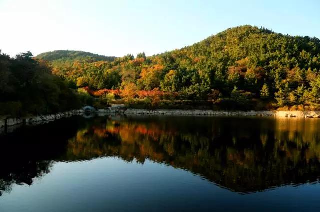 赤山“佛系”粉 請別走......