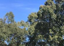 百魅江南--華五+道教名山茅山+黿頭渚+三水鄉(xiāng)烏鎮(zhèn)+西塘夜游夫子廟純玩雙飛六日游 百魅江南--華五+道教名山茅山+黿頭渚+三水鄉(xiāng)烏鎮(zhèn)+西塘夜游夫子廟純玩雙飛六日游