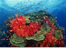 狂歡巴厘島六日游 狂歡巴厘島六日游