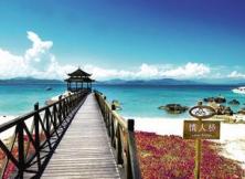 嘉華旅游————廈門、永定土樓、鼓浪嶼、武夷山、九曲溪漂流雙飛六日游