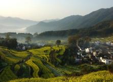 3月：婺源屯溪老街純玩雙飛四