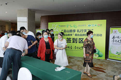 “李”行天下！“巫山脆李”煙臺營銷推介搭建消費扶貧新橋梁