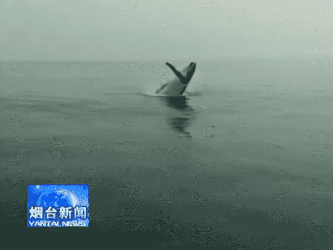 qq圖片20180506215715