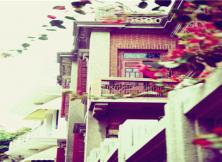 廈門鼓浪嶼+廈門大學+曾厝垵+廈門科技館+惠和石雕+老院子五日游 廈門鼓浪嶼+廈門大學+曾厝垵+廈門科技館+惠和石雕+老院子五日游