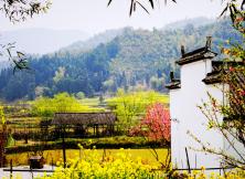 【2021賞花季】婺源篁嶺油菜花、宏村、屯溪老街、船游新安江純玩雙飛四日游 【2021賞花季】婺源篁嶺油菜花、宏村、屯溪老街、船游新安江純玩雙飛四日游