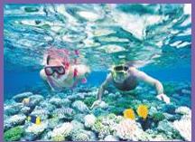 嘉華旅游——全線大堡礁之全方位海陸空澳新凱墨12日 嘉華旅游——全線大堡礁之全方位海陸空澳新凱墨12日