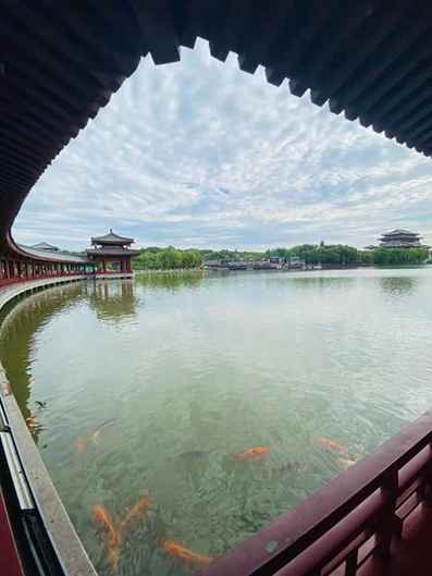 我跟黨走·家鄉蝶變丨芙蓉園里觀盛世 一步一景皆唐詩 我跟黨走·家鄉蝶變丨芙蓉園里觀盛世 一步一景皆唐詩