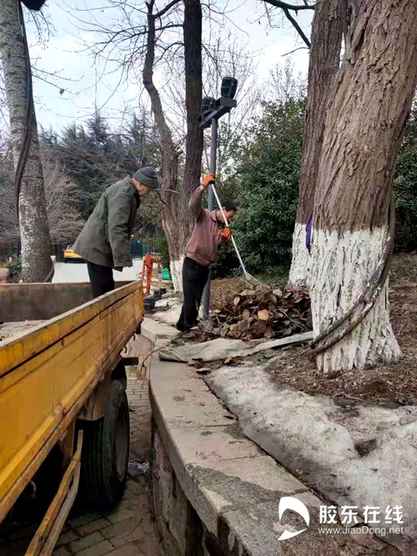 微信圖片_20210217101556