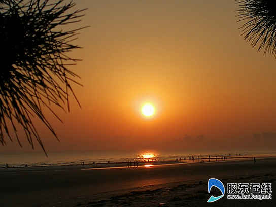 長竹蟶子:冬日里的一口鮮 長竹蟶子:冬日里的一口鮮