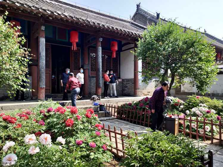 棲霞牟氏莊園 賞牡丹