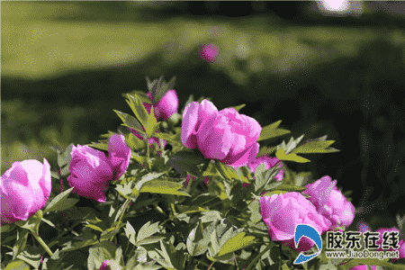 微信圖片_20200502082236