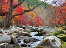 紅海灘、紅葉景觀大道、大地森林、五女山、鴨綠江深度賞紅葉之旅 紅海灘、紅葉景觀大道、大地森林、五女山、鴨綠江深度賞紅葉之旅