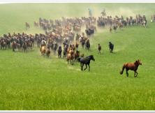 貢格爾草原、渾善達克沙地、阿斯哈圖石林、白音敖包、達里諾爾湖、西拉沐淪河漂流、赤峰博物館、佛教圣地召廟親子雙飛五日