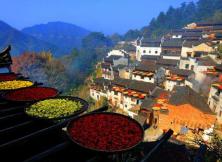 江西南昌、婺源、景德鎮(zhèn)、廬山、三清山、龍虎山、井岡山雙臥9日游 江西南昌、婺源、景德鎮(zhèn)、廬山、三清山、龍虎山、井岡山雙臥9日游