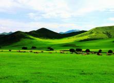 【暑假游壩上草原】河北皇家承德避暑山莊、木蘭圍場、穿越塞罕壩、國家1號(hào)風(fēng)景大道、塞外明珠烏蘭布統(tǒng)大草原+古北水鎮(zhèn)+草原民俗項(xiàng)目雙動(dòng)五日游 【暑假游壩上草原】河北皇家承德避暑山莊、木蘭圍場、穿越塞罕壩、國家1號(hào)風(fēng)景大道、塞外明珠烏蘭布統(tǒng)大草原+古北水鎮(zhèn)+草原民俗項(xiàng)目雙動(dòng)五日游