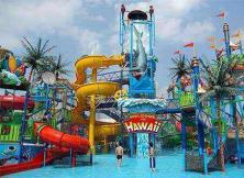 【6月游長隆】媽媽去哪兒--廣州長隆純玩半自助游五日游 【6月游長隆】媽媽去哪兒--廣州長隆純玩半自助游五日游