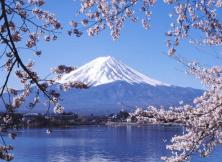 優樂系列-本州全景6日游