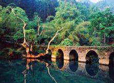 【特價貴州】黃果樹西江苗寨雙飛五