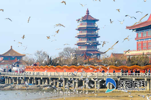 女神節(jié)來八仙過海度假區(qū) 寵你沒商量! 女神節(jié)來八仙過海度假區(qū) 寵你沒商量!