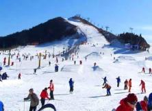 海陽林山滑雪場一日游 海陽林山滑雪場一日游