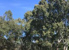 大師會(huì) 云南 昆明 大理 麗江 西雙版納四飛8日游 大師會(huì) 云南 昆明 大理 麗江 西雙版納四飛8日游