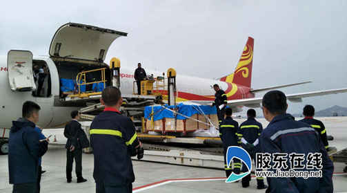 7頭“海豚寶寶”落戶蓬萊海洋極地世界