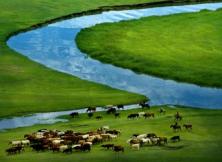 呼倫貝爾草原、滿洲里、黑山頭、根河源國家濕地公園雙飛6日