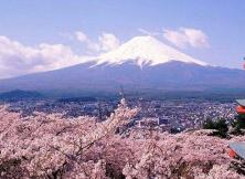 日本高品6日游（東航）