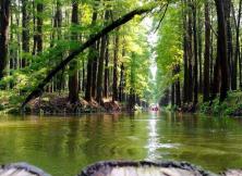 【國慶假期】品泰州早茶,游瘦西湖美景,賞水上森林氧吧,逛濕地公園大巴三日游 【國慶假期】品泰州早茶,游瘦西湖美景,賞水上森林氧吧,逛濕地公園大巴三日游