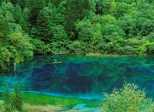 成都、九寨、牟尼溝雙飛5日游 成都、九寨、牟尼溝雙飛5日游