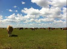 內蒙古烏蘭布統大草原、樺木溝、蛤蟆壩、承德避暑山莊雙高鐵五日游 內蒙古烏蘭布統大草原、樺木溝、蛤蟆壩、承德避暑山莊雙高鐵五日游