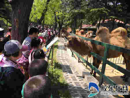 五一假期南山公園真熱鬧 4天共接待游客20 萬人次