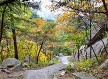 昆崳山泰礡頂純玩一日游 昆崳山泰礡頂純玩一日游