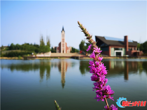 tim圖片20190723172217_副本