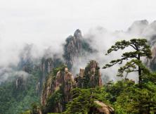 【黃山看秋】婺源篁嶺宏村雙飛4日游 【黃山看秋】婺源篁嶺宏村雙飛4日游