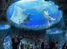 港澳+長隆親子6日游 港澳+長隆親子6日游